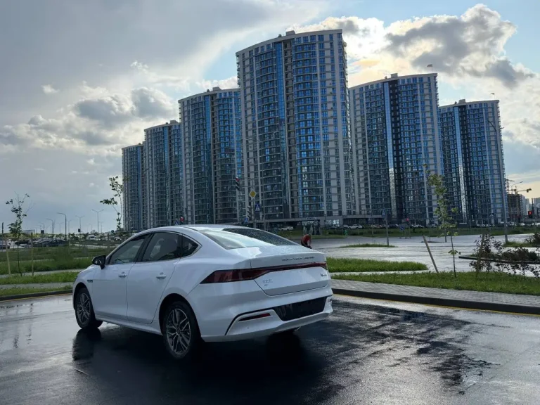 BYD Qin Plus — вид сзади
